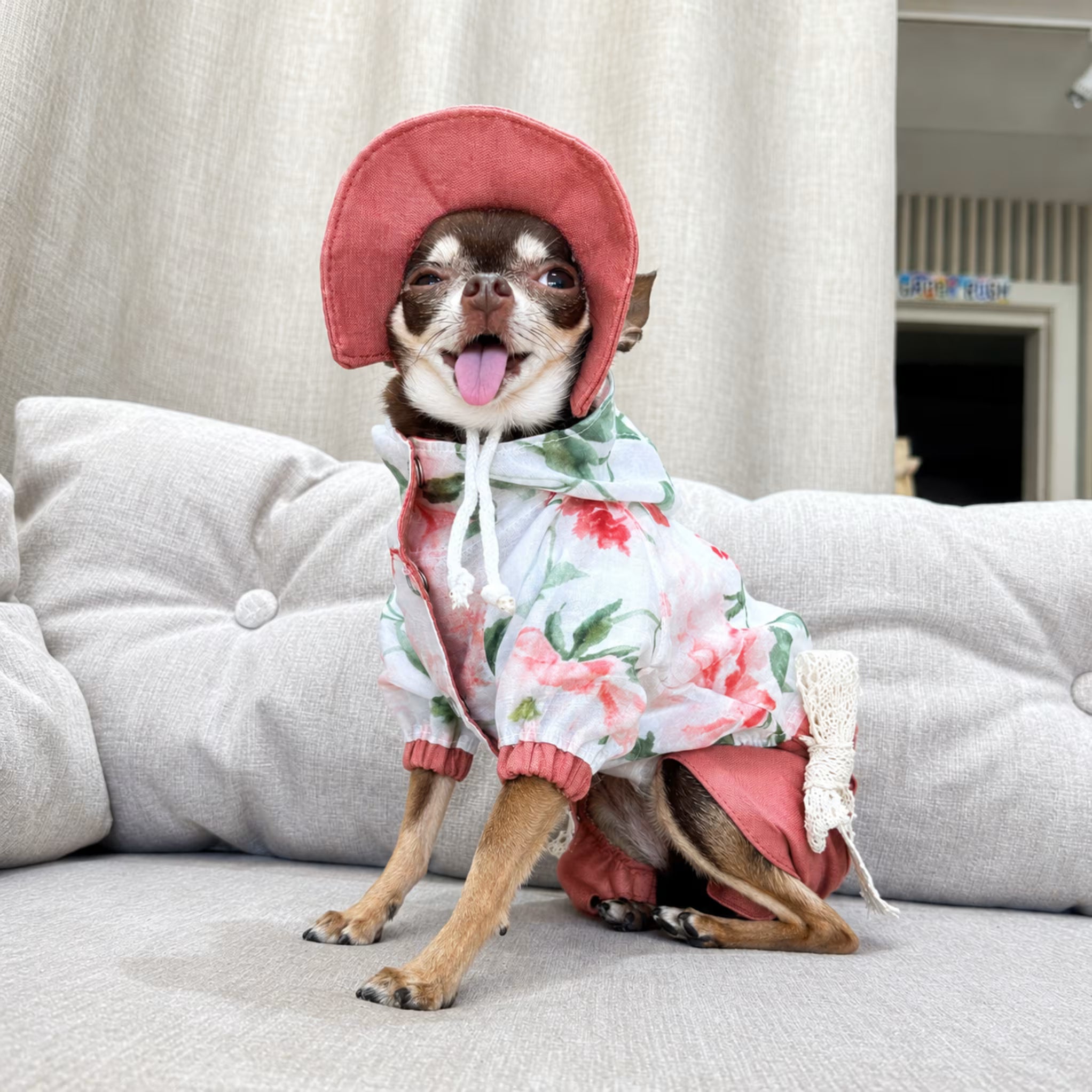 Lightweight Tencel Small Dog Windbreaker