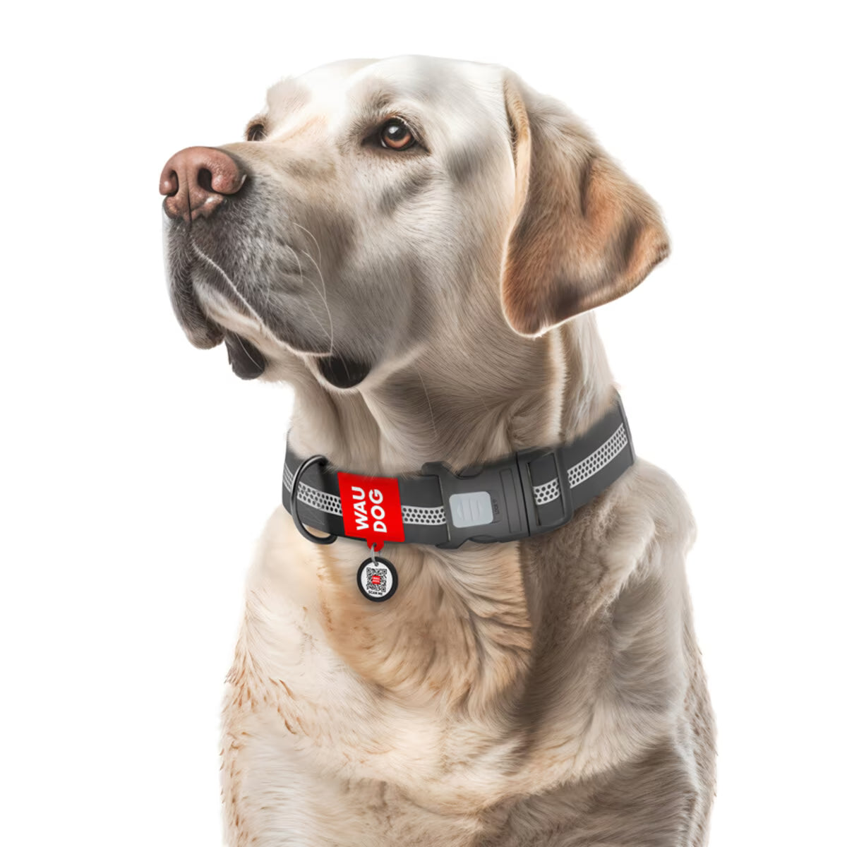 Waterproof Reflective Dog Collar & Leash Set with QR ID Tag
