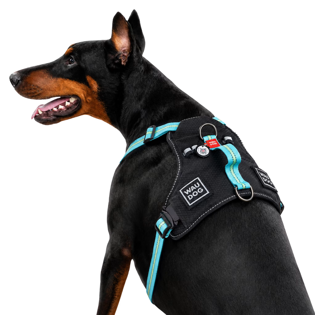 Safe Ergonomic Dog Harness with QR ID Tag