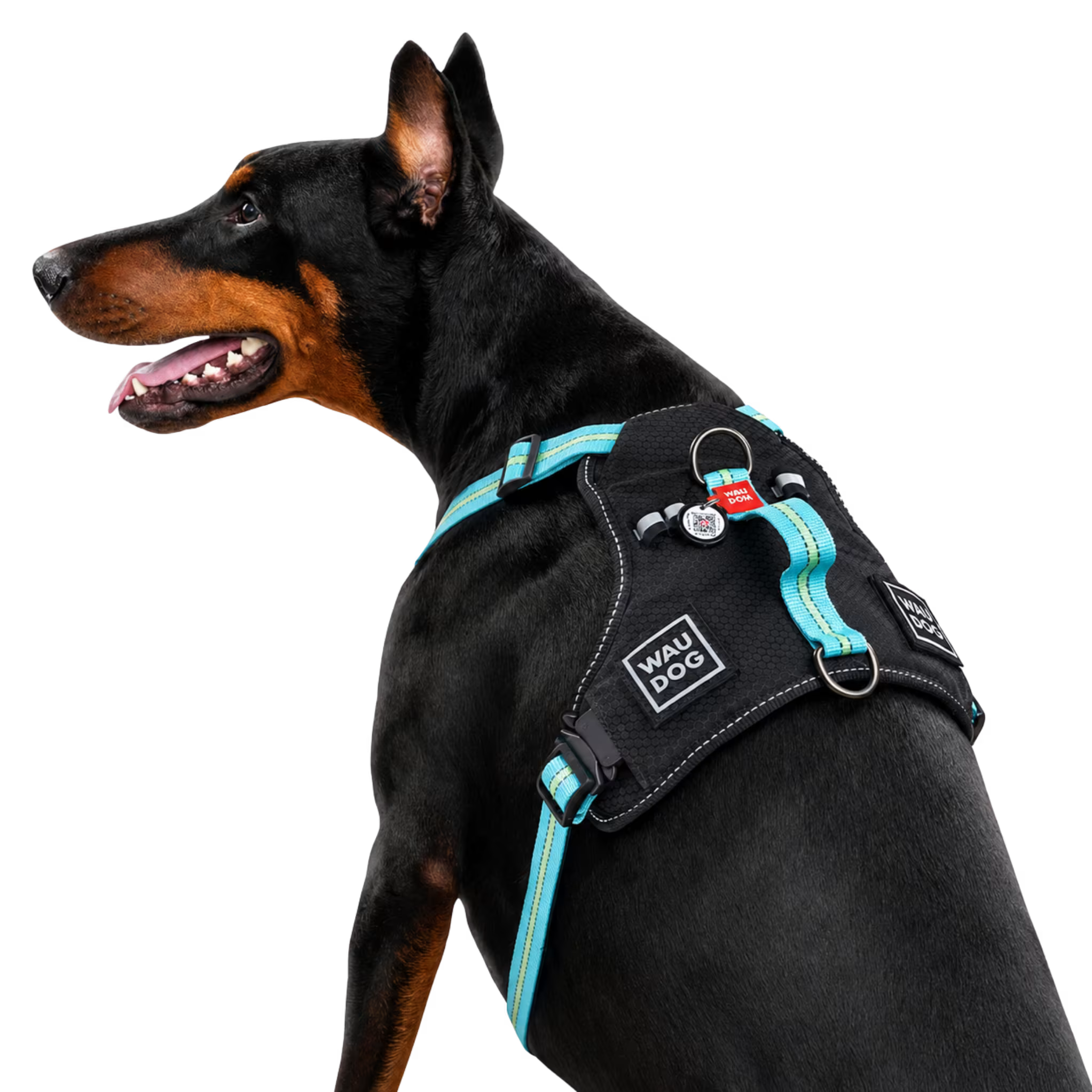 Safe Ergonomic Dog Harness with QR ID Tag