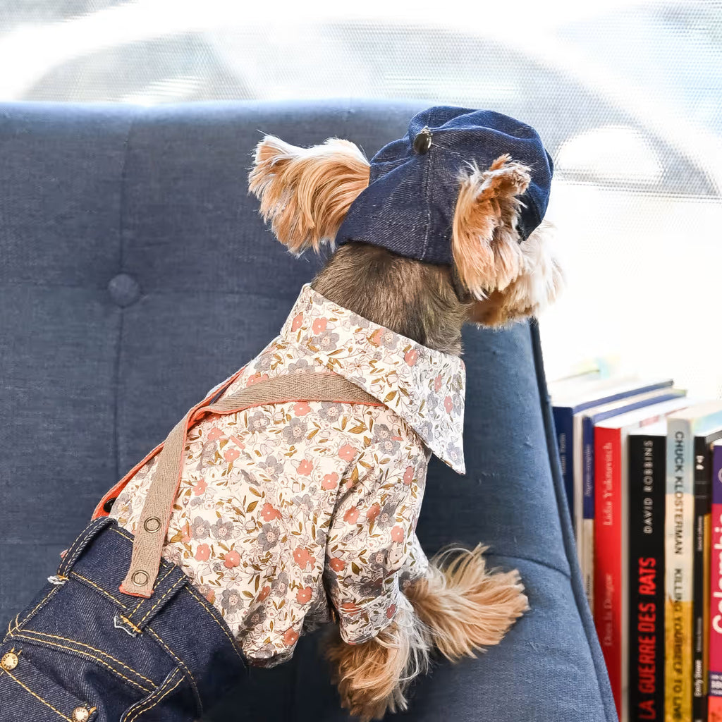 Small Dog Shirt