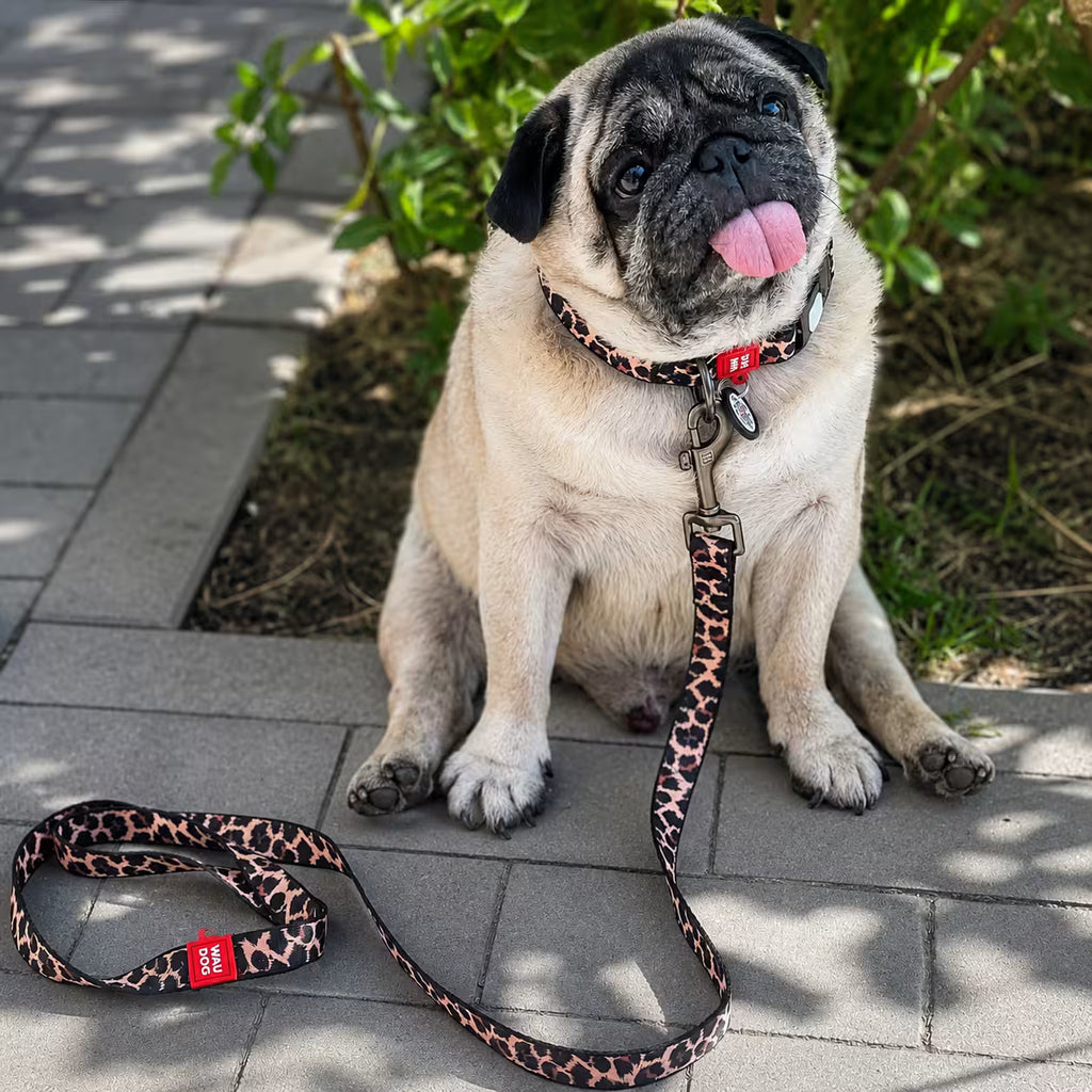 Nylon Dog Collar with Smart QR ID Tag - Leopard Collection