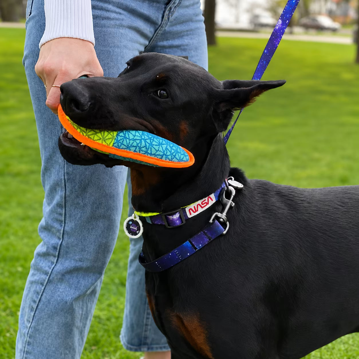 Nylon Dog Collar with Smart QR ID Tag - NASA21 Collection