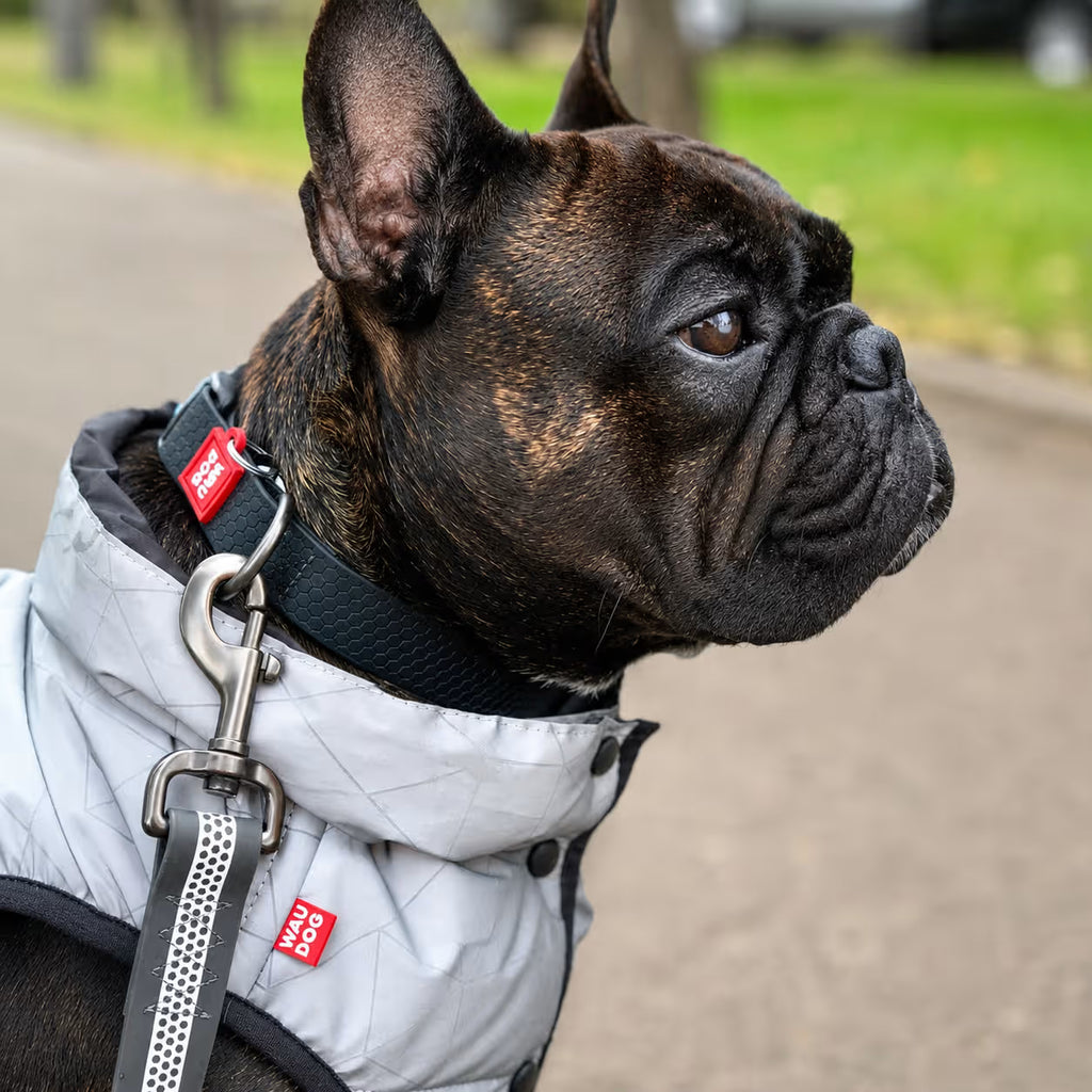 Waterproof Reflective Dog Leash with QR ID Tag