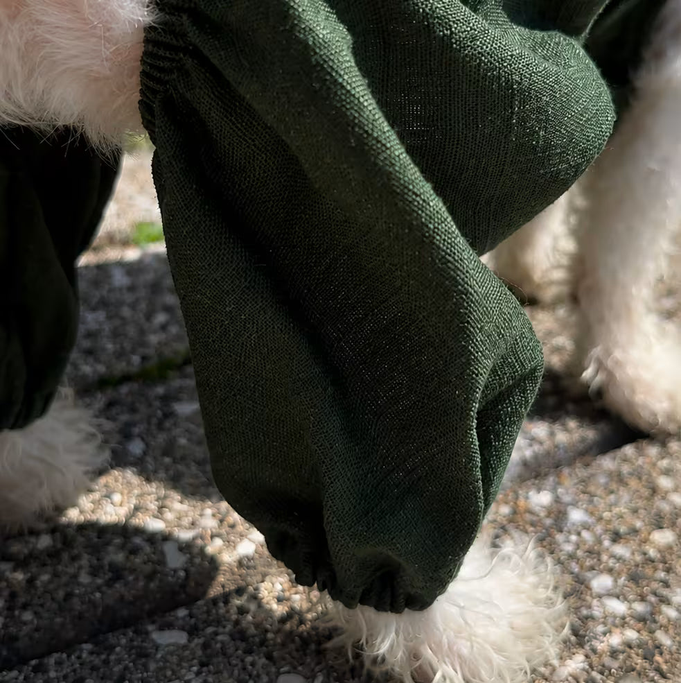 Combinaison légère d'été pour chien
