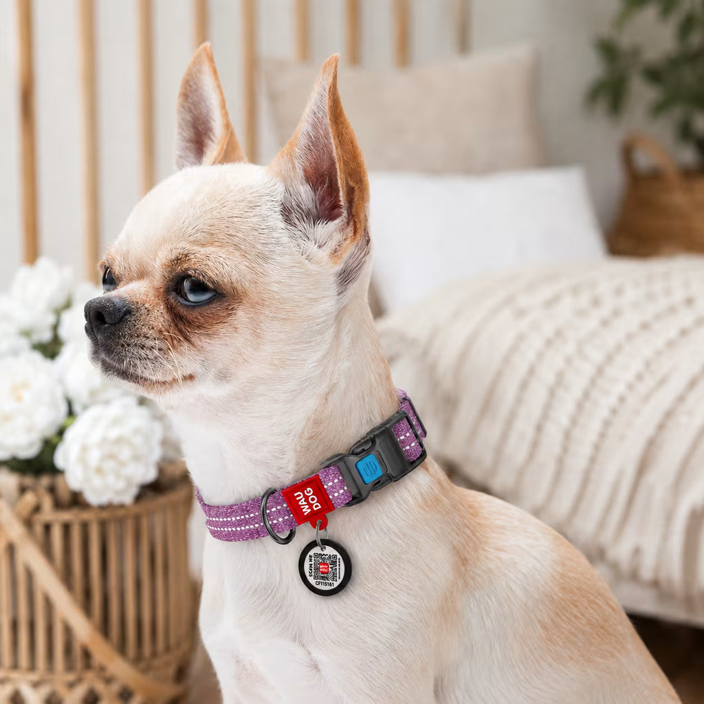Eco Cotton Dog Collar - with Smart QR ID Tag