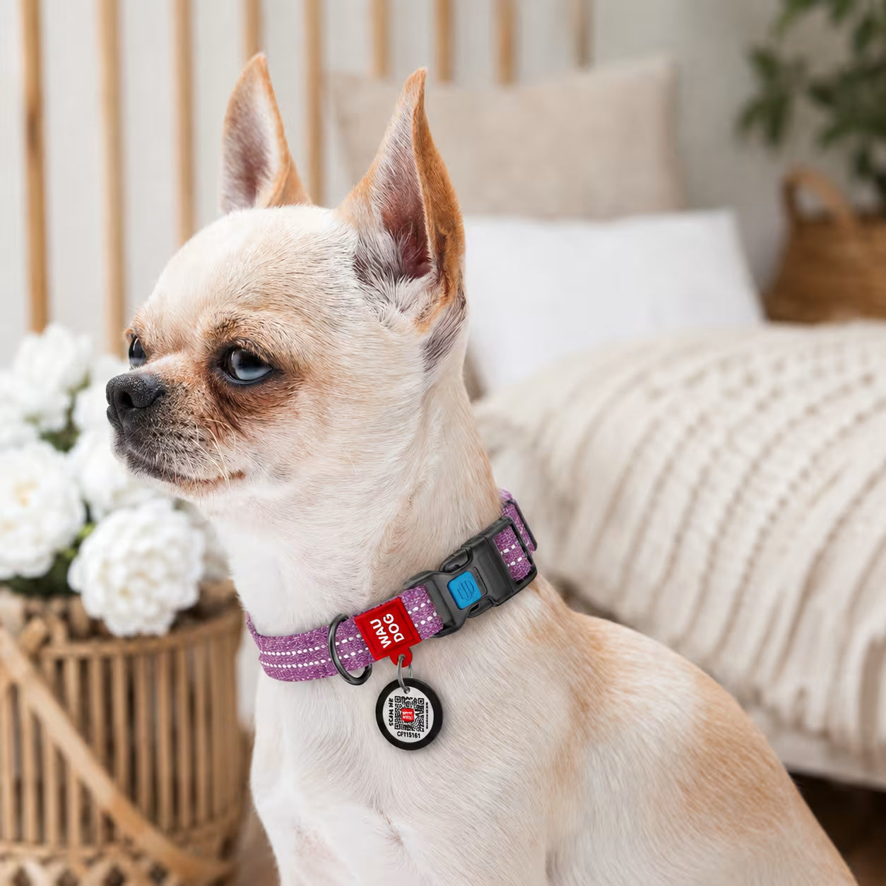 Eco Cotton Dog Collar - with Smart QR ID Tag
