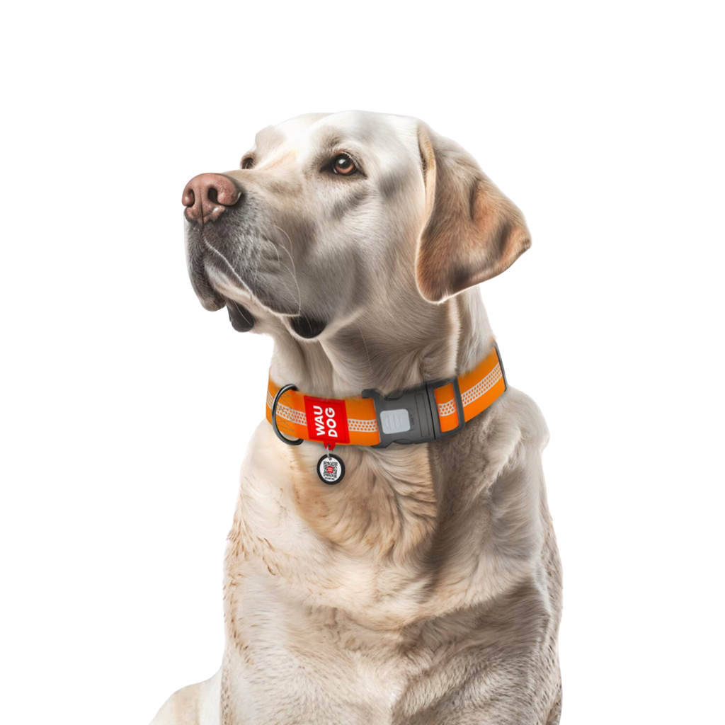 Waterproof Reflective Dog Collar with QR ID Tag