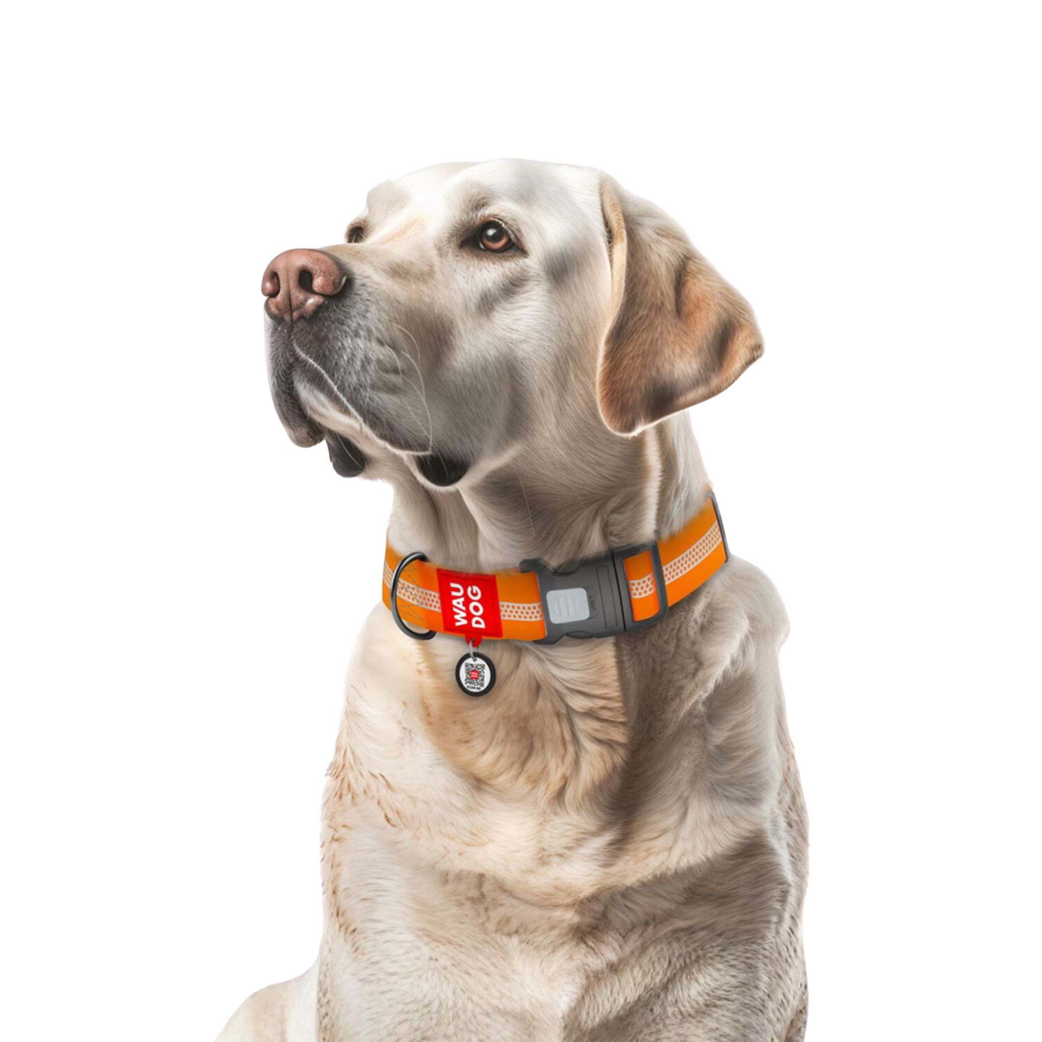 Waterproof Reflective Dog Collar with QR ID Tag