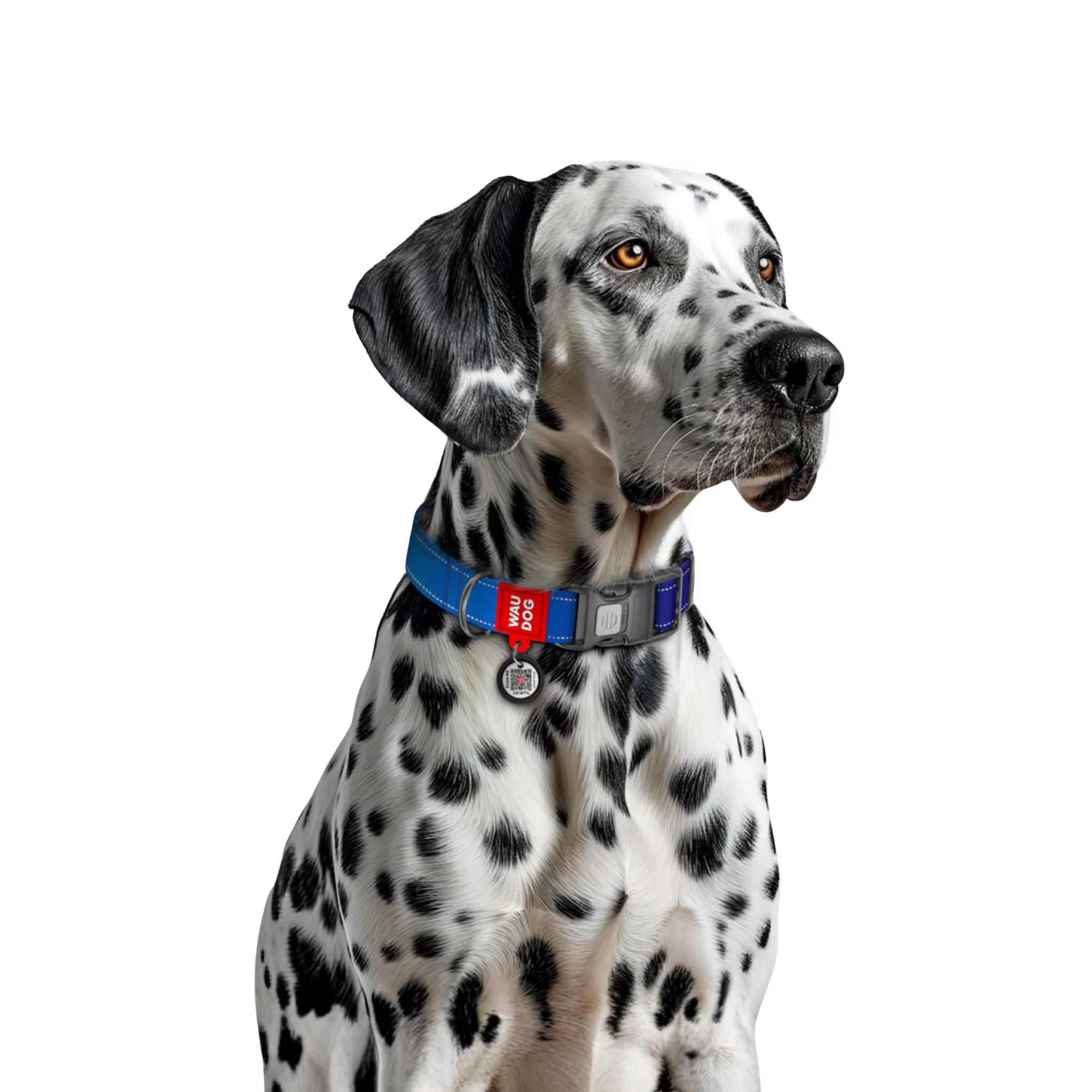 Mono Reflective Dog Collar with QR ID Tag