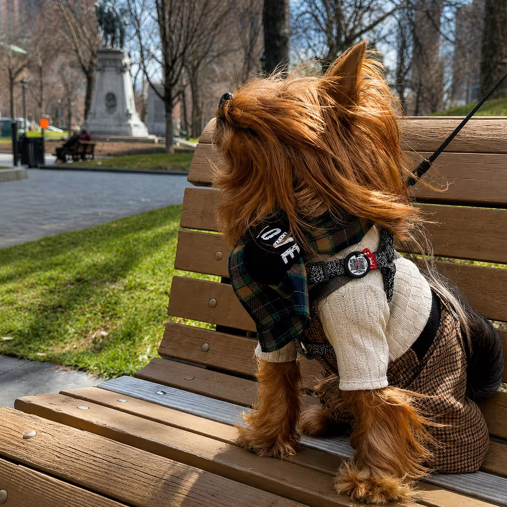 Scottish Wool Dog Scarf