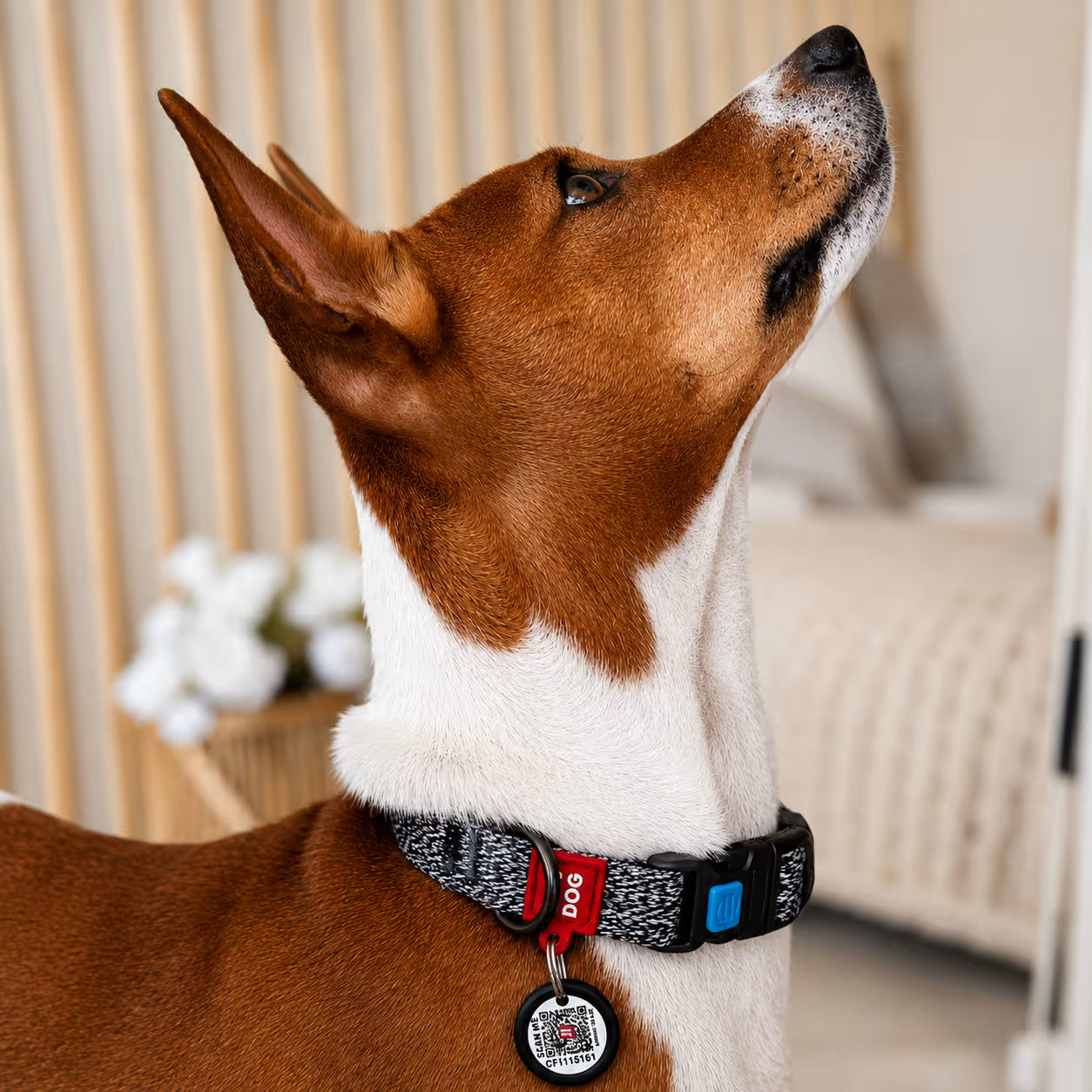 Eco Cotton Dog Collar - with Smart QR ID Tag