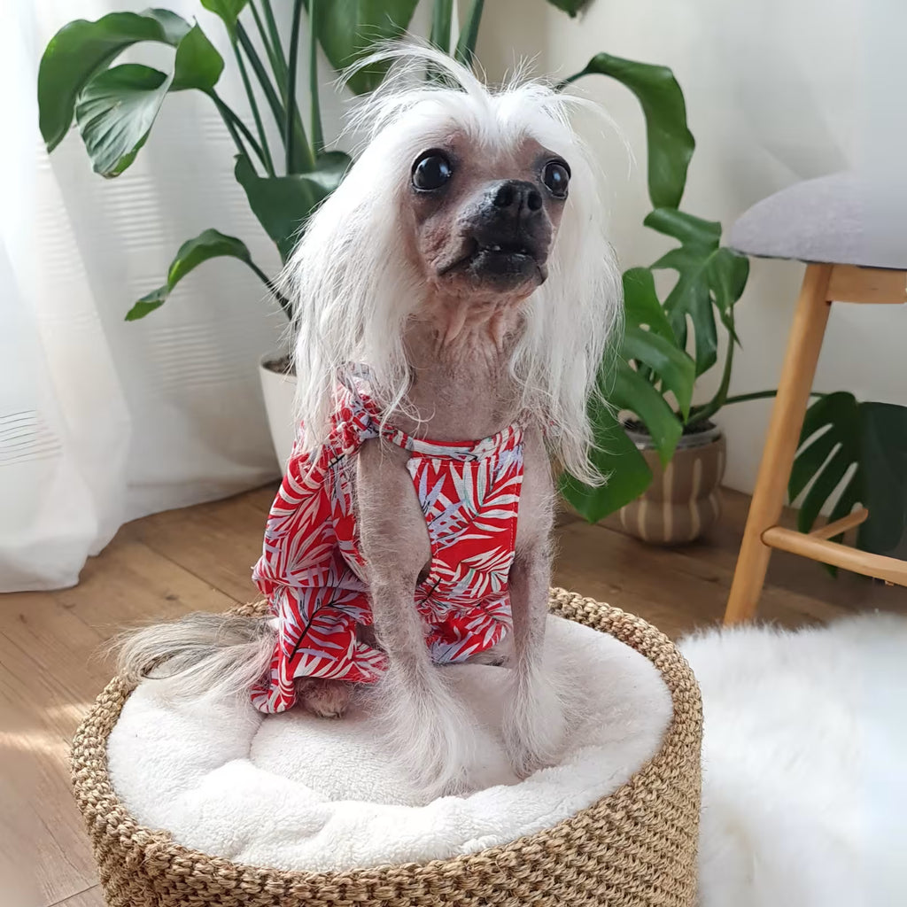 Linen Dog Romper Lightweight Summer Clothing