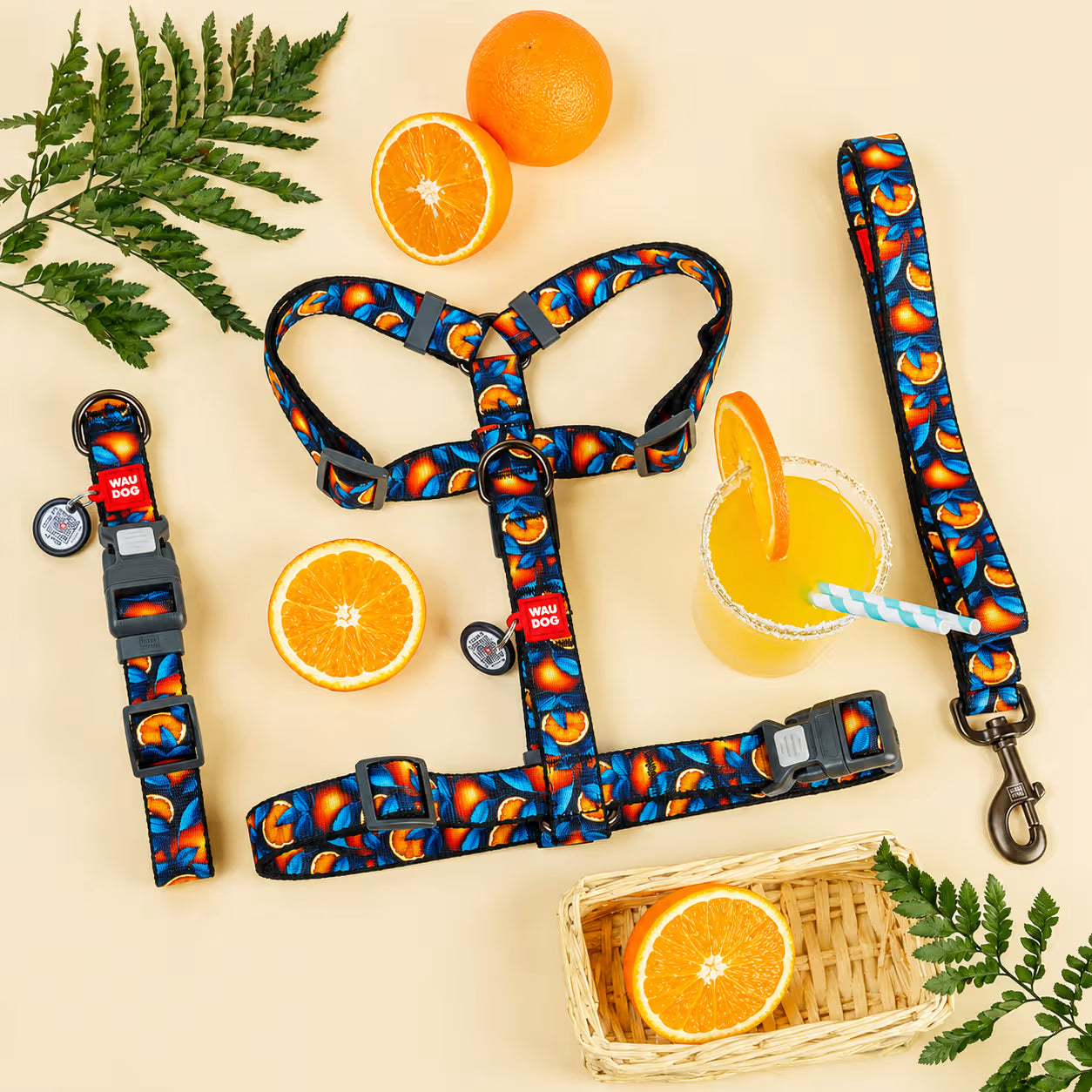 Nylon Dog Leash – Monsters & Oranges Collection