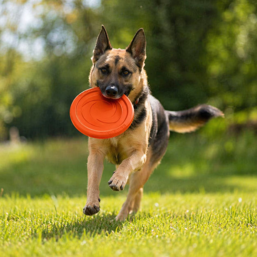 PitchDog Floating Flying Disc for Dogs