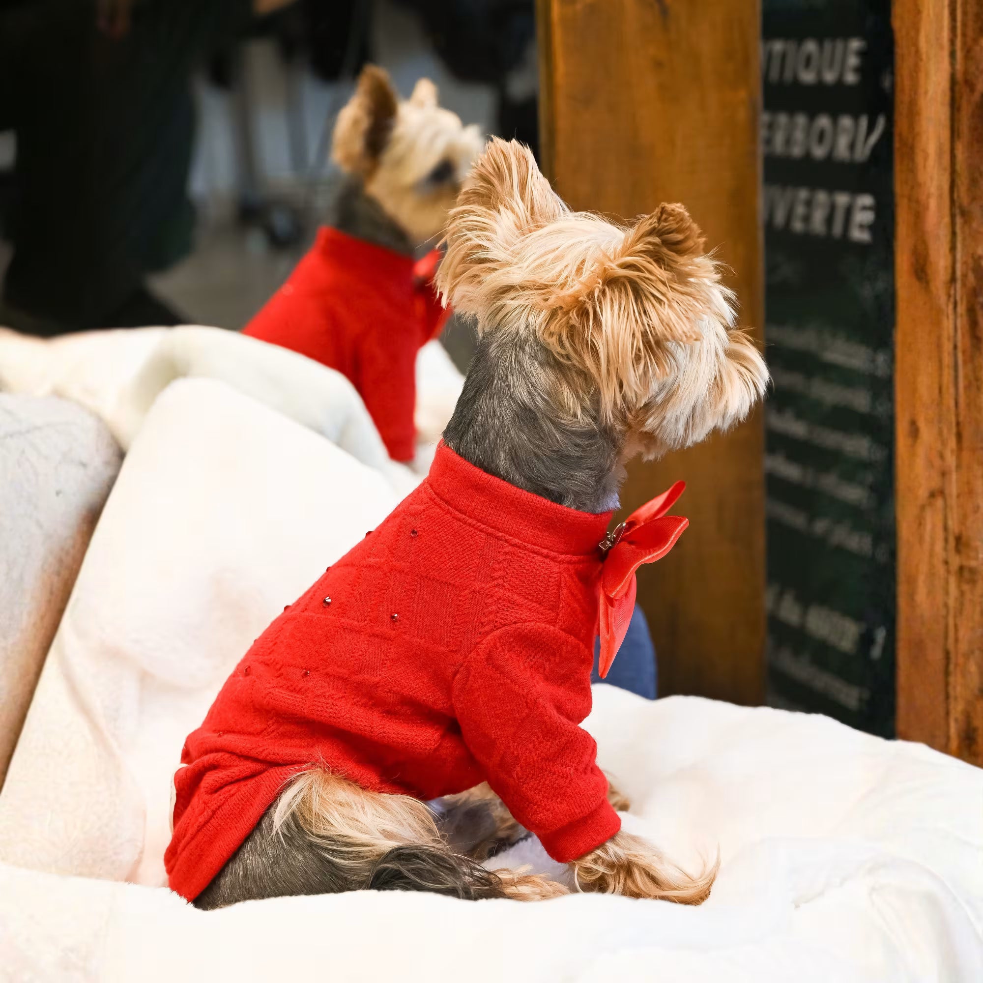 Charm Designer Dog Sweater