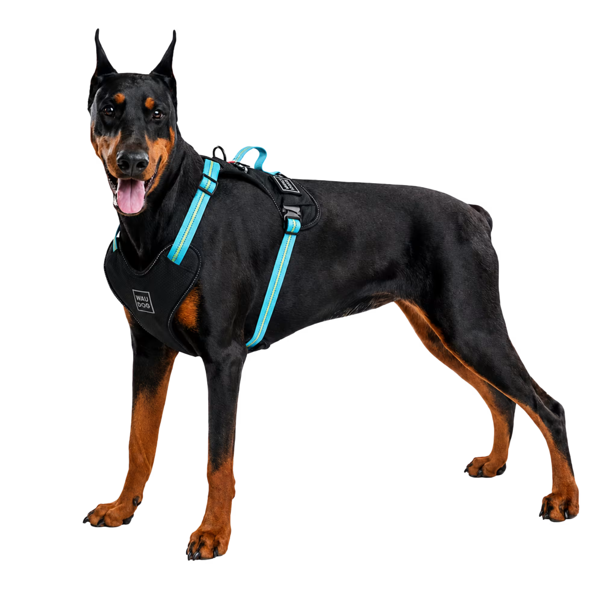 Safe Ergonomic Dog Harness with QR ID Tag