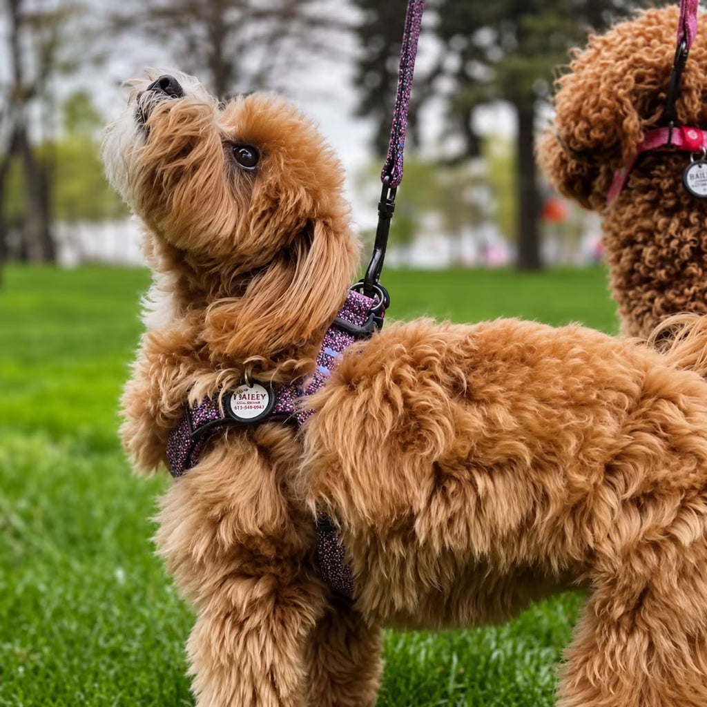 Eco Cotton Dog Harness - with Smart QR ID Tag