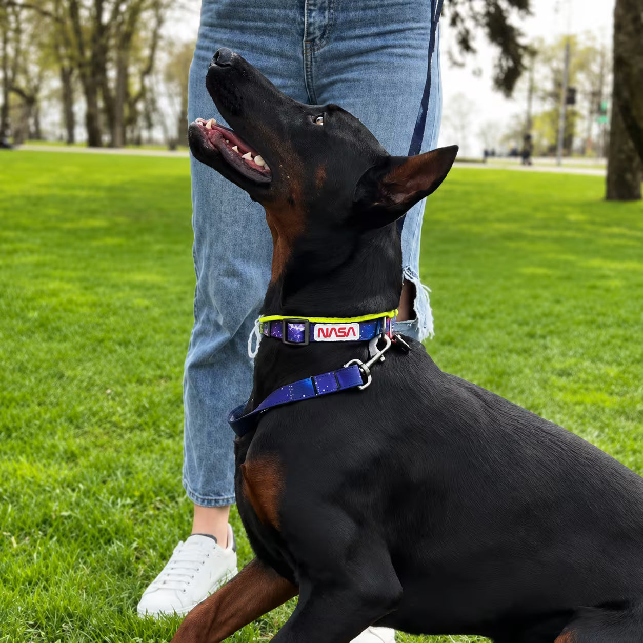 Nylon Dog Collar with Smart QR ID Tag - NASA21 Collection