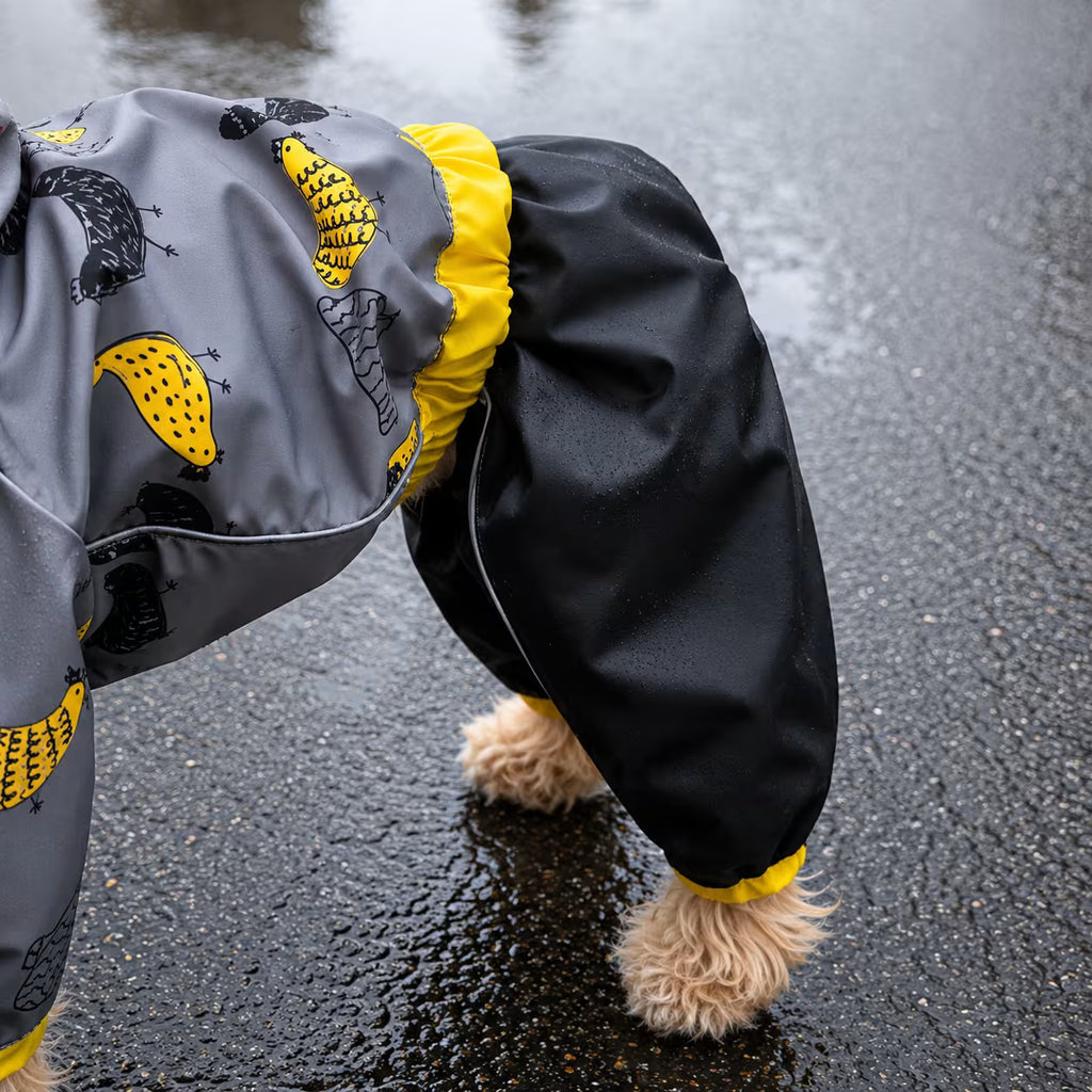 Waterproof Dog Raincoat for All-Weather Walks