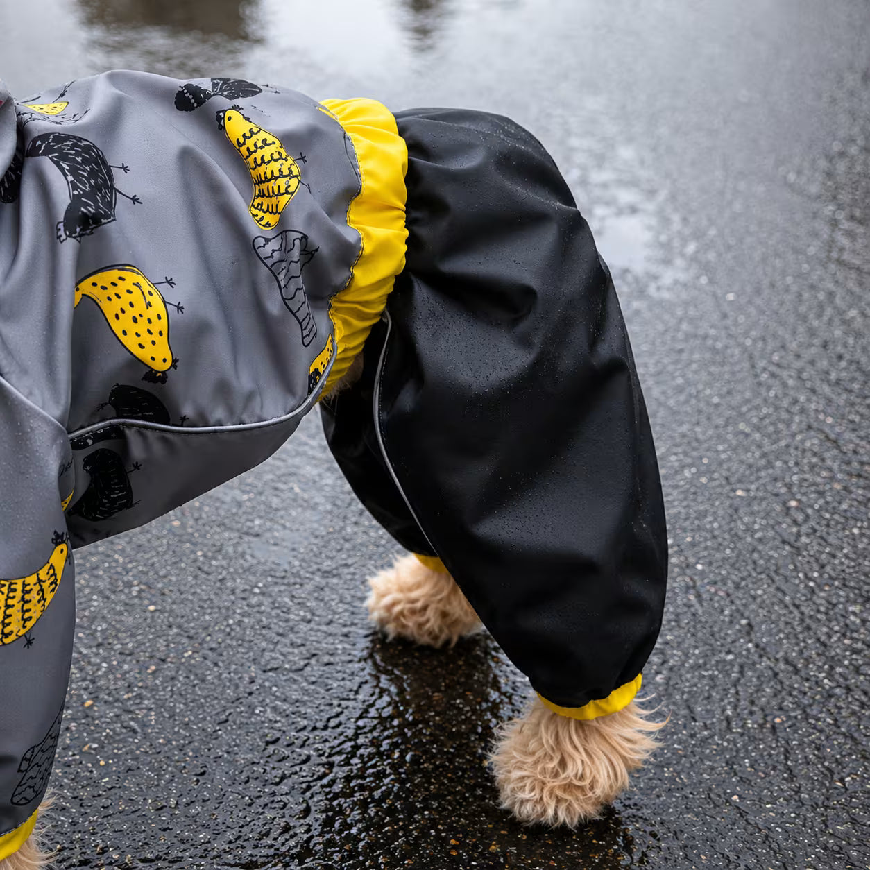 Waterproof Dog Raincoat for All-Weather Walks