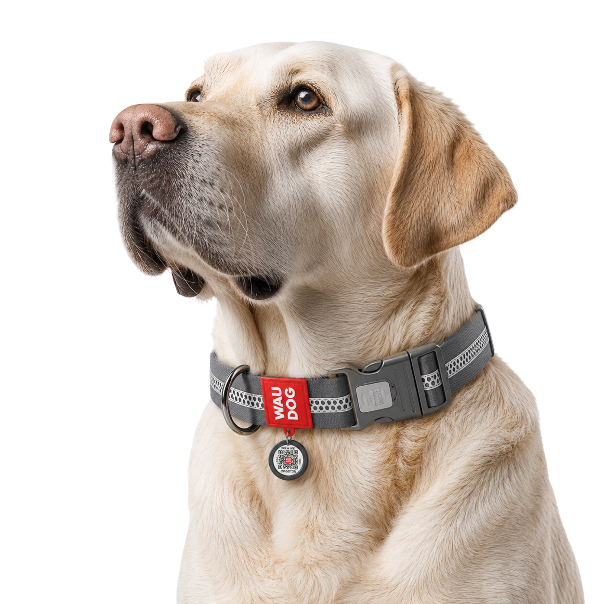 Waterproof Reflective Dog Collar with QR ID Tag