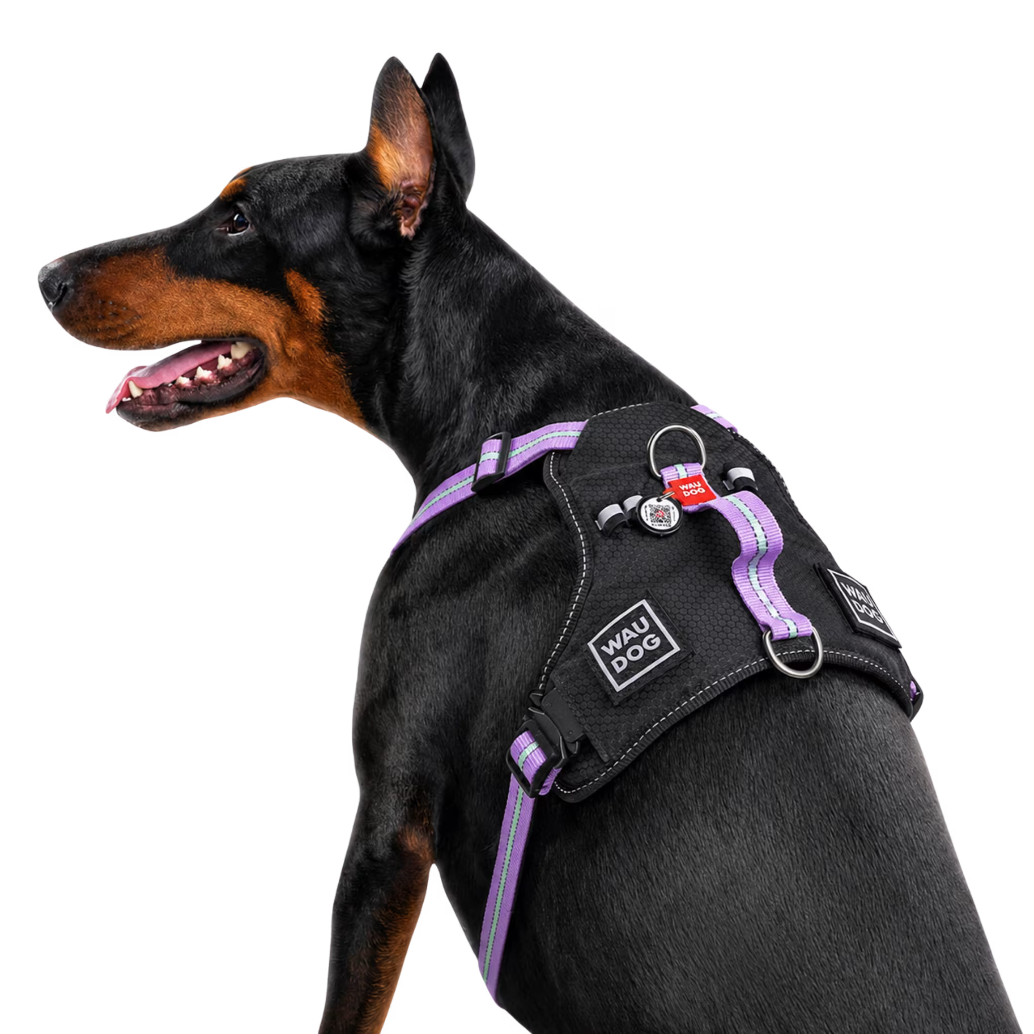 Safe Ergonomic Dog Harness with QR ID Tag