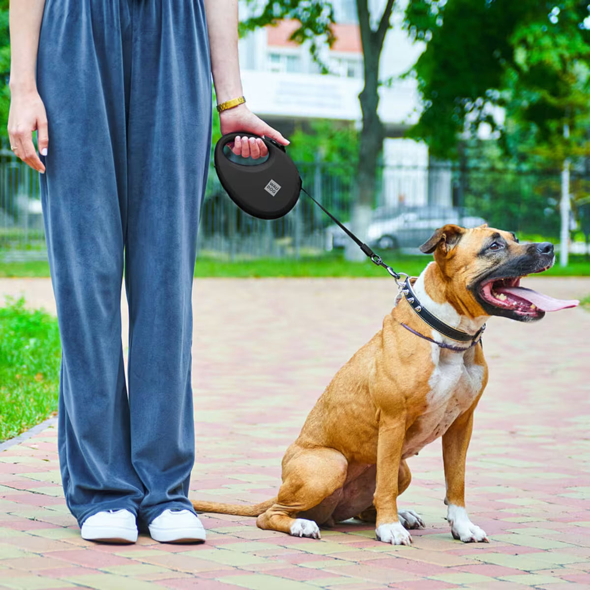 R-Leash Retractable Dog Leash – Reflective, Tangle-Free & Easy One-Hand Control
