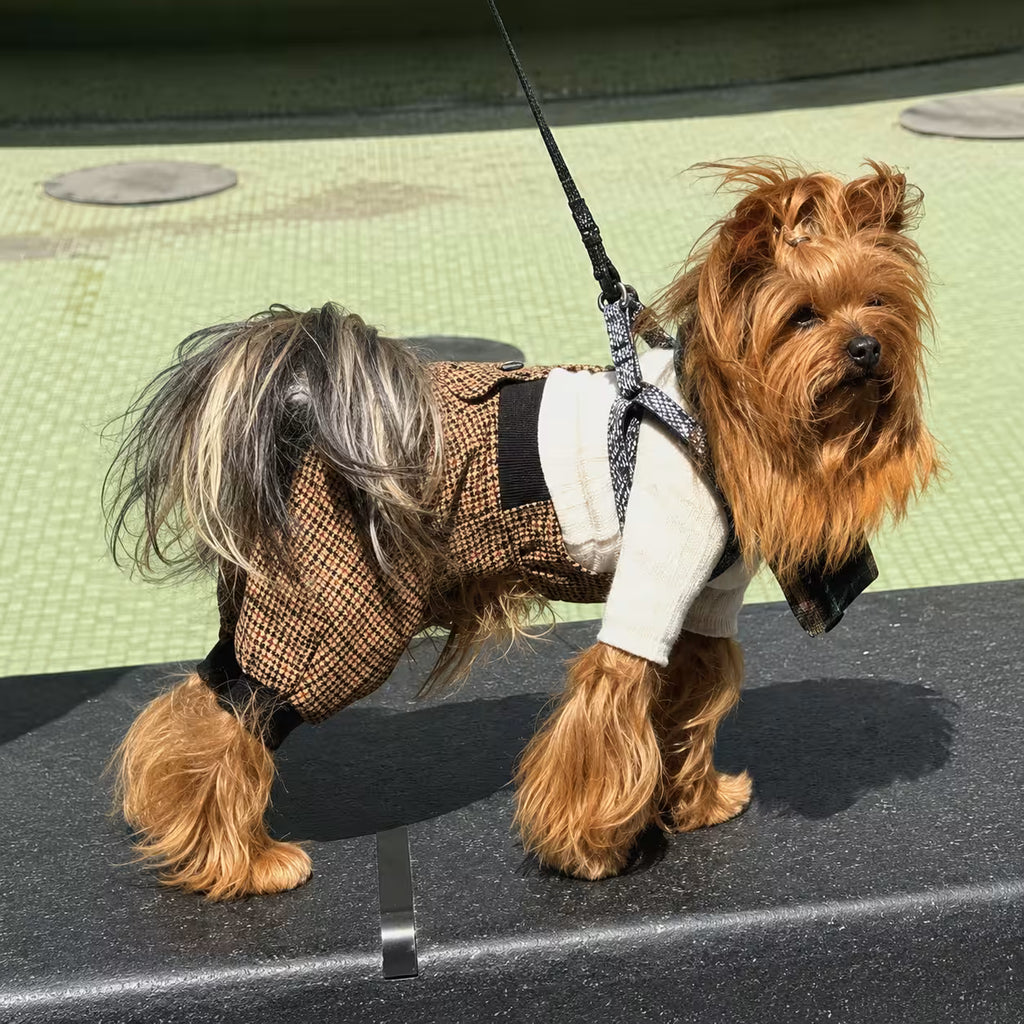 Scotsdog Wool Dog Pants