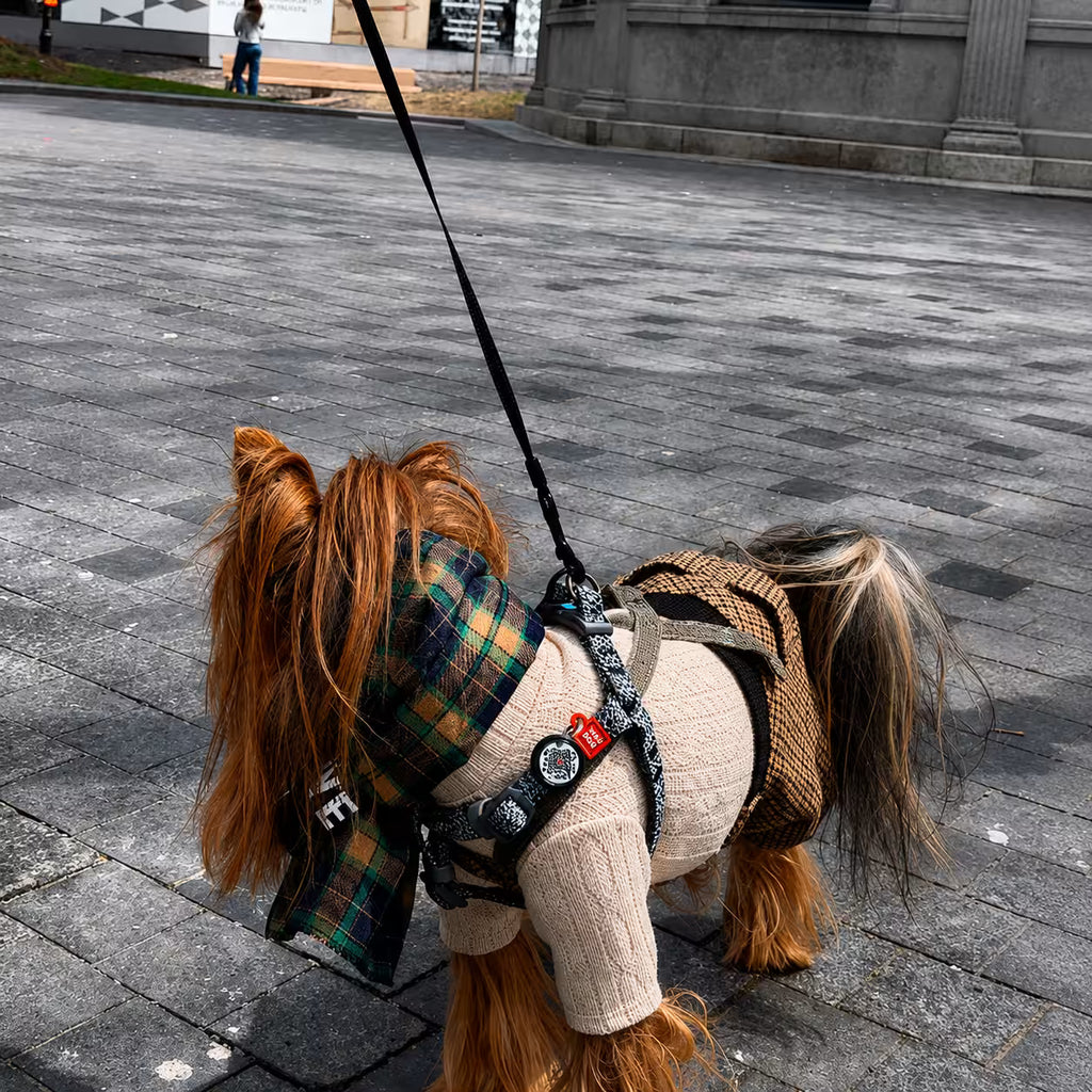 Eco Cotton Dog Harness - with Smart QR ID Tag