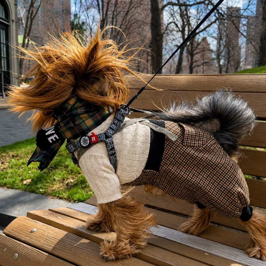Scottish Wool Dog Scarf