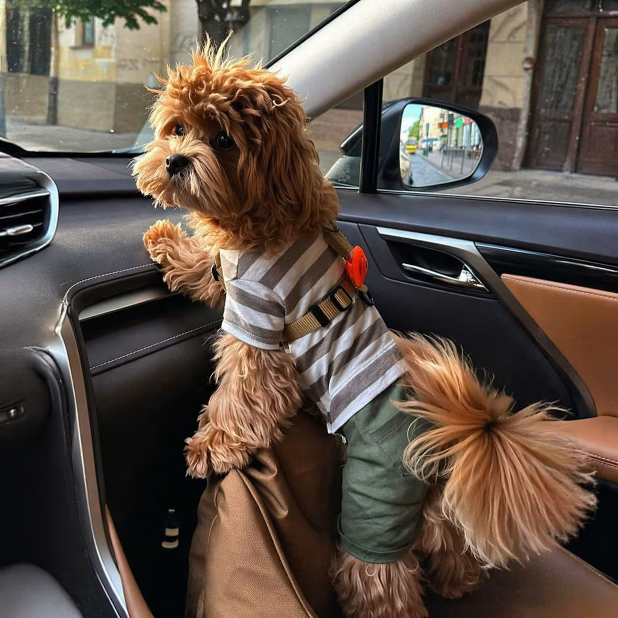 Dog Outfit with Matching Sun Hat