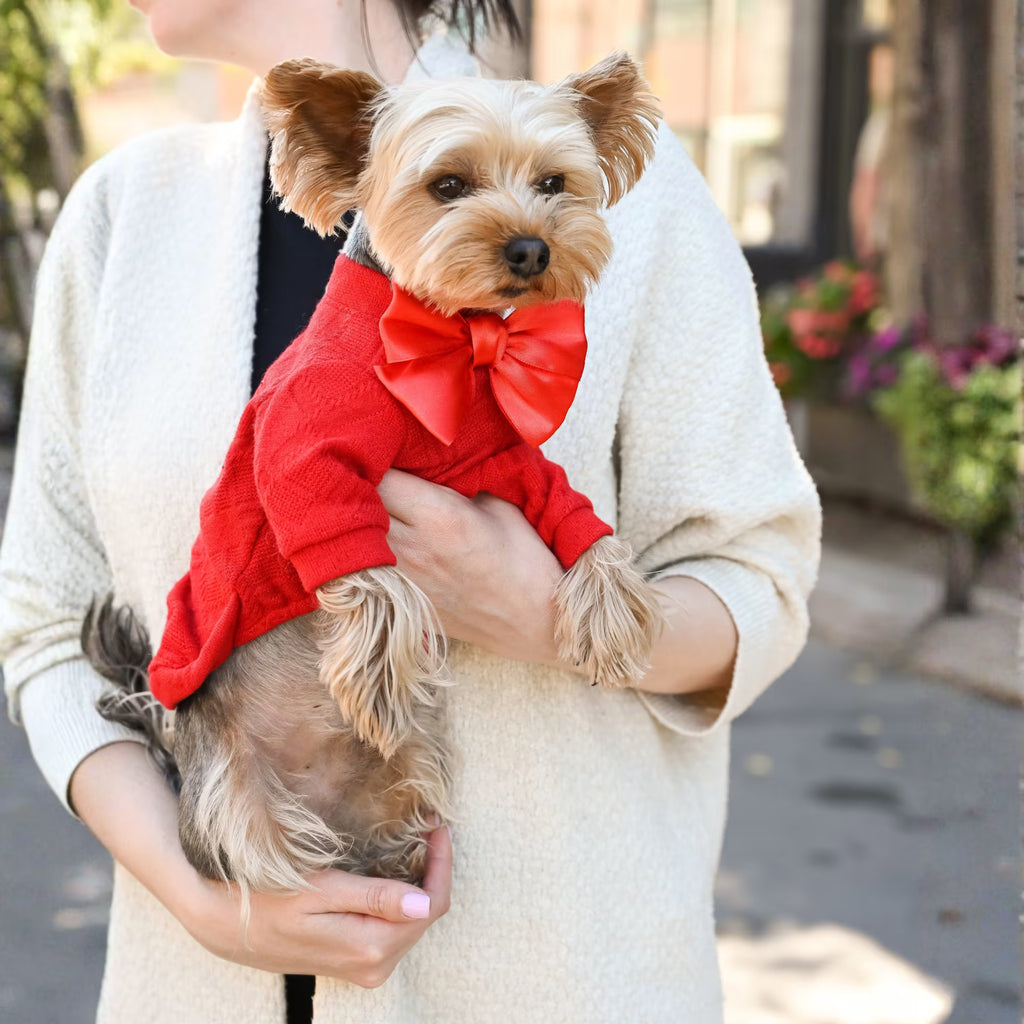 Charm Designer Dog Sweater