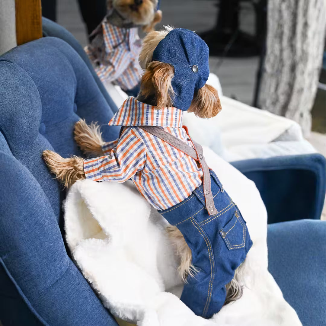 Jeans and Cap Denim Set for Small Dogs