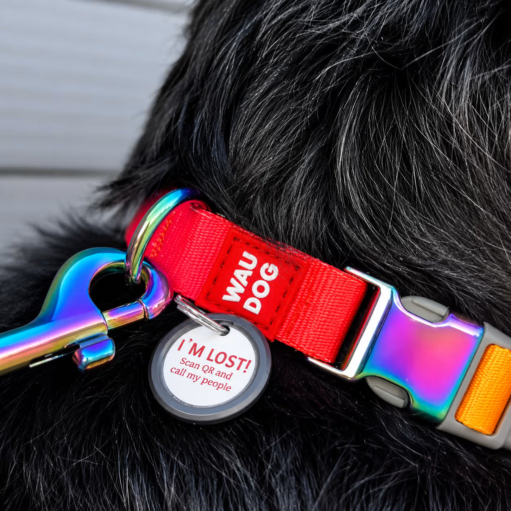 Gradient Recycled Nylon Dog Collar with QR Passport