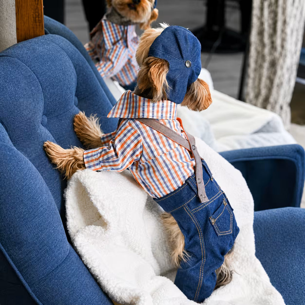 Jeans and Cap Denim Set for Small Dogs