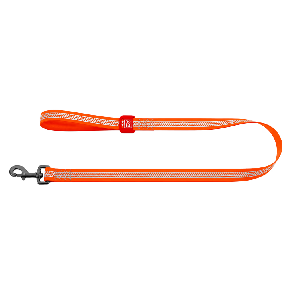 Waterproof Reflective Dog Leash with QR ID Tag