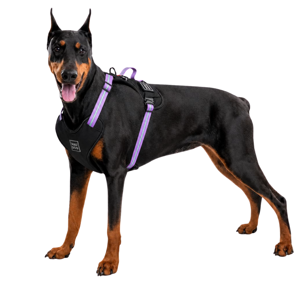 Safe Ergonomic Dog Harness with QR ID Tag