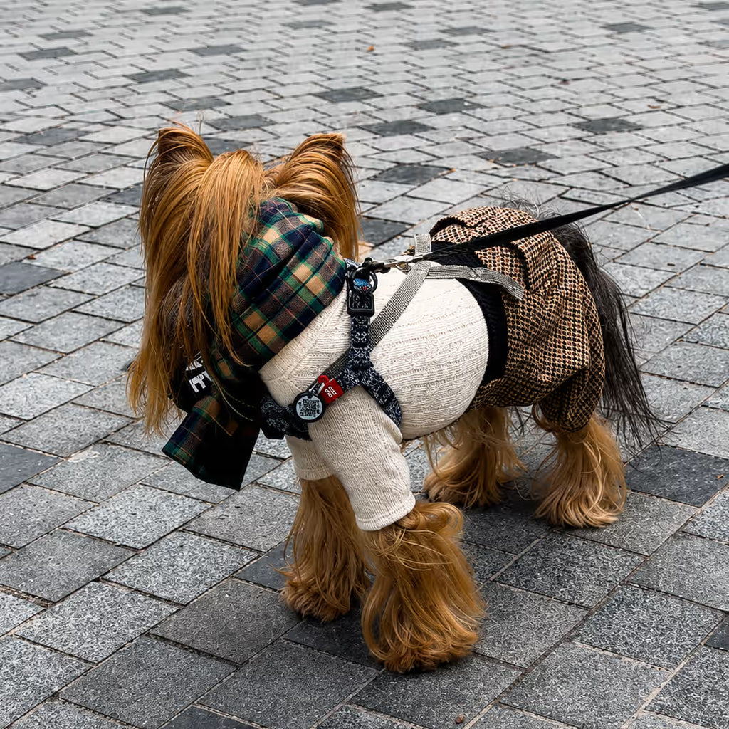 Scottish Wool Dog Scarf