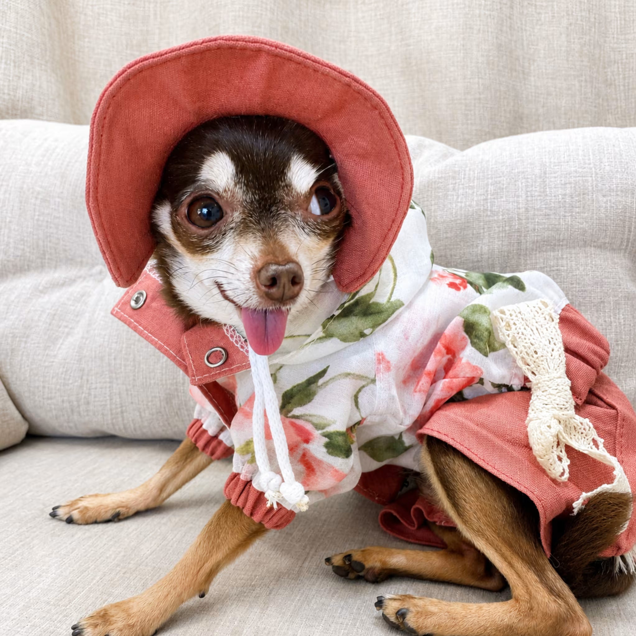 Lightweight Tencel Small Dog Windbreaker