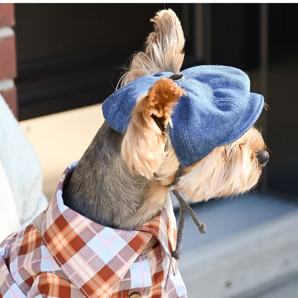 Jeans and Cap Denim Set for Small Dogs