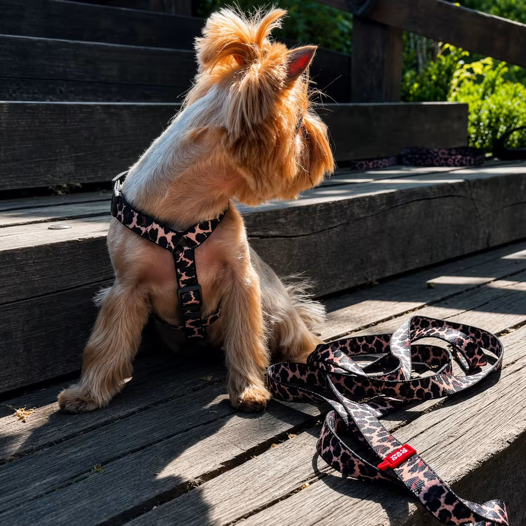 Nylon Dog Leash - Leopard Collection