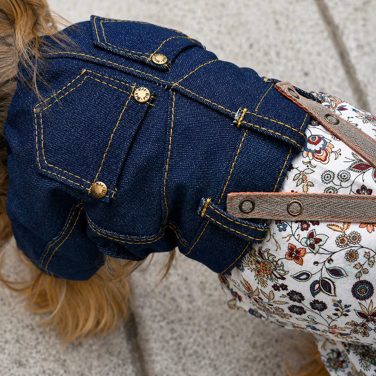 Jeans and Cap Denim Set for Small Dogs