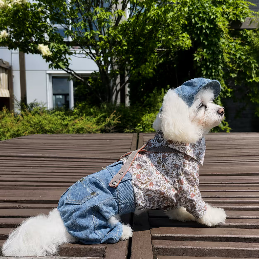 Jeans and Cap Denim Set for Small Dogs