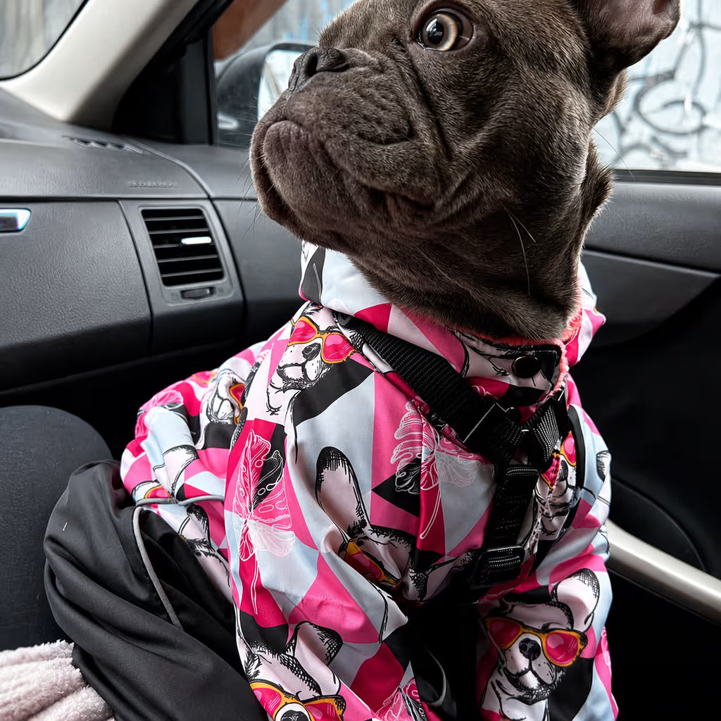 Waterproof Dog Raincoat for All-Weather Walks