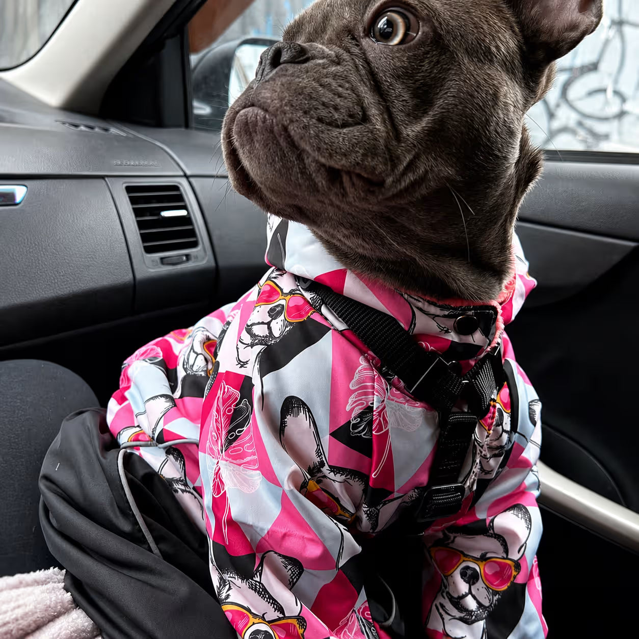 Waterproof Dog Raincoat for All-Weather Walks