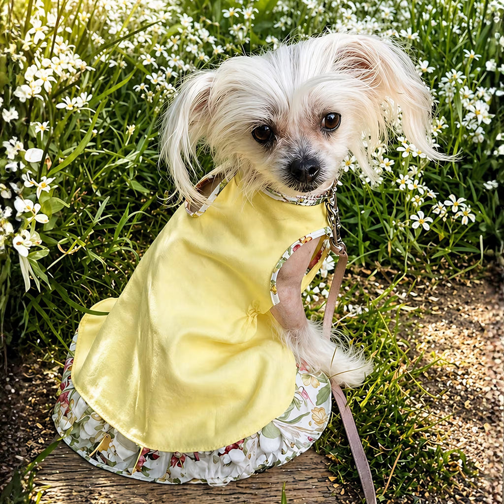Sophie Linen Dog Dress – Breathable Summer Dress for Small Dogs