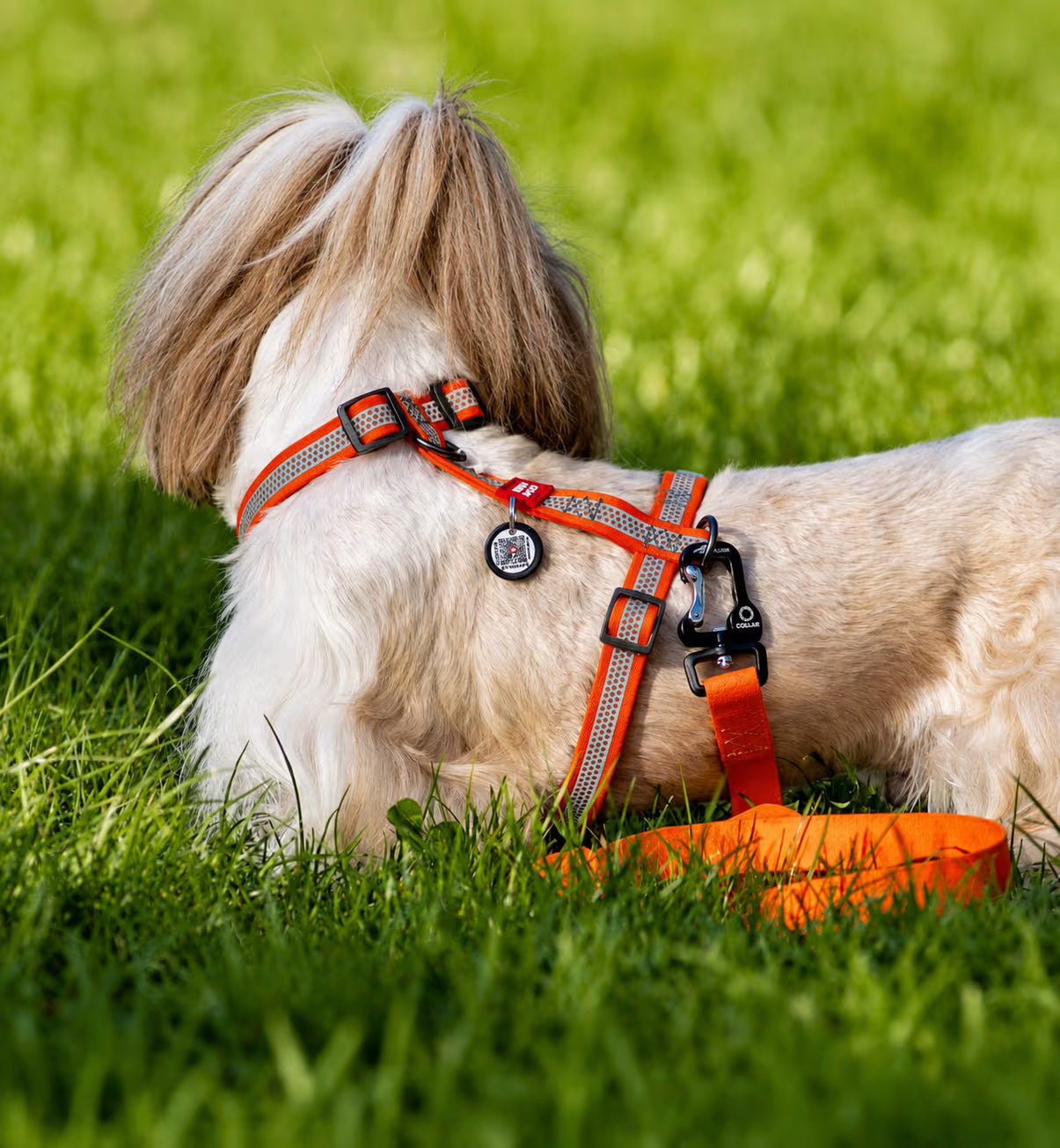 Waterproof Reflective Dog Harness with QR ID Tag