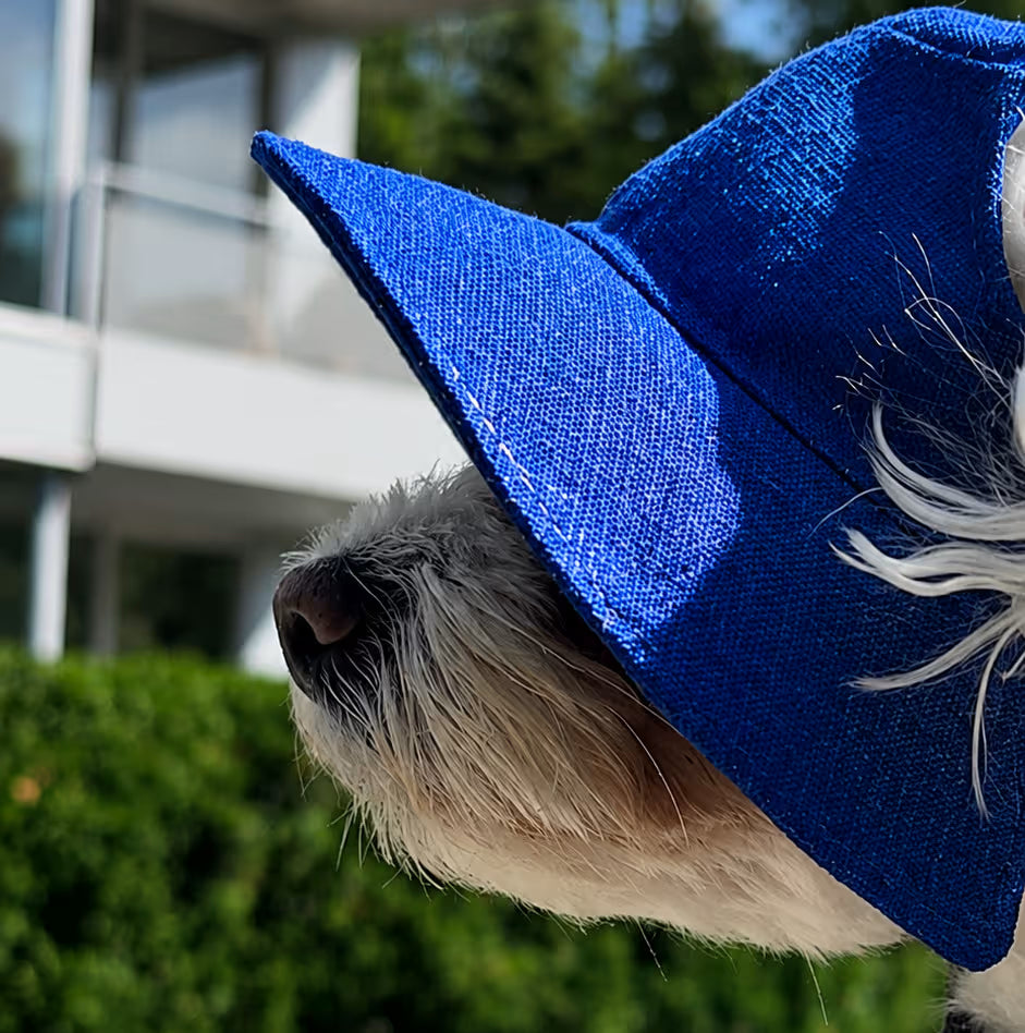 Combinaison légère d'été pour chien