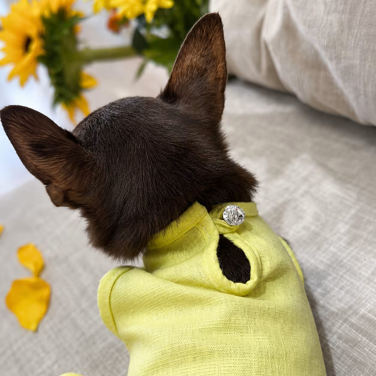 Sophie Linen Dog Dress – Breathable Summer Dress for Small Dogs